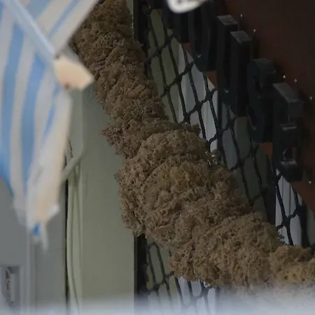 Kalymnos Suite Home Appartamento Kálymnos