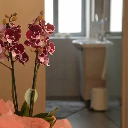 Kalymnos Suite Home *