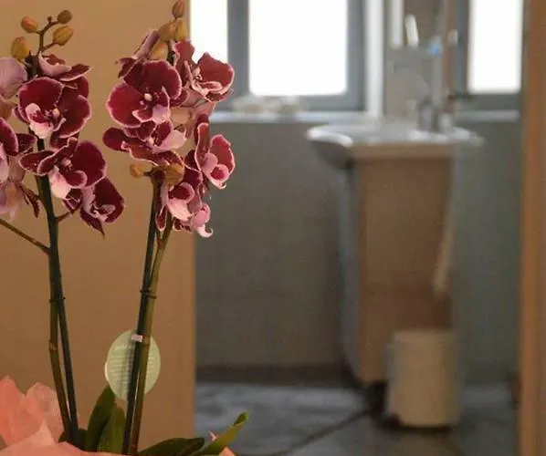 Kalymnos Suite Home *